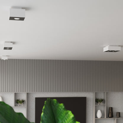 MONO 2 plafondlamp wit