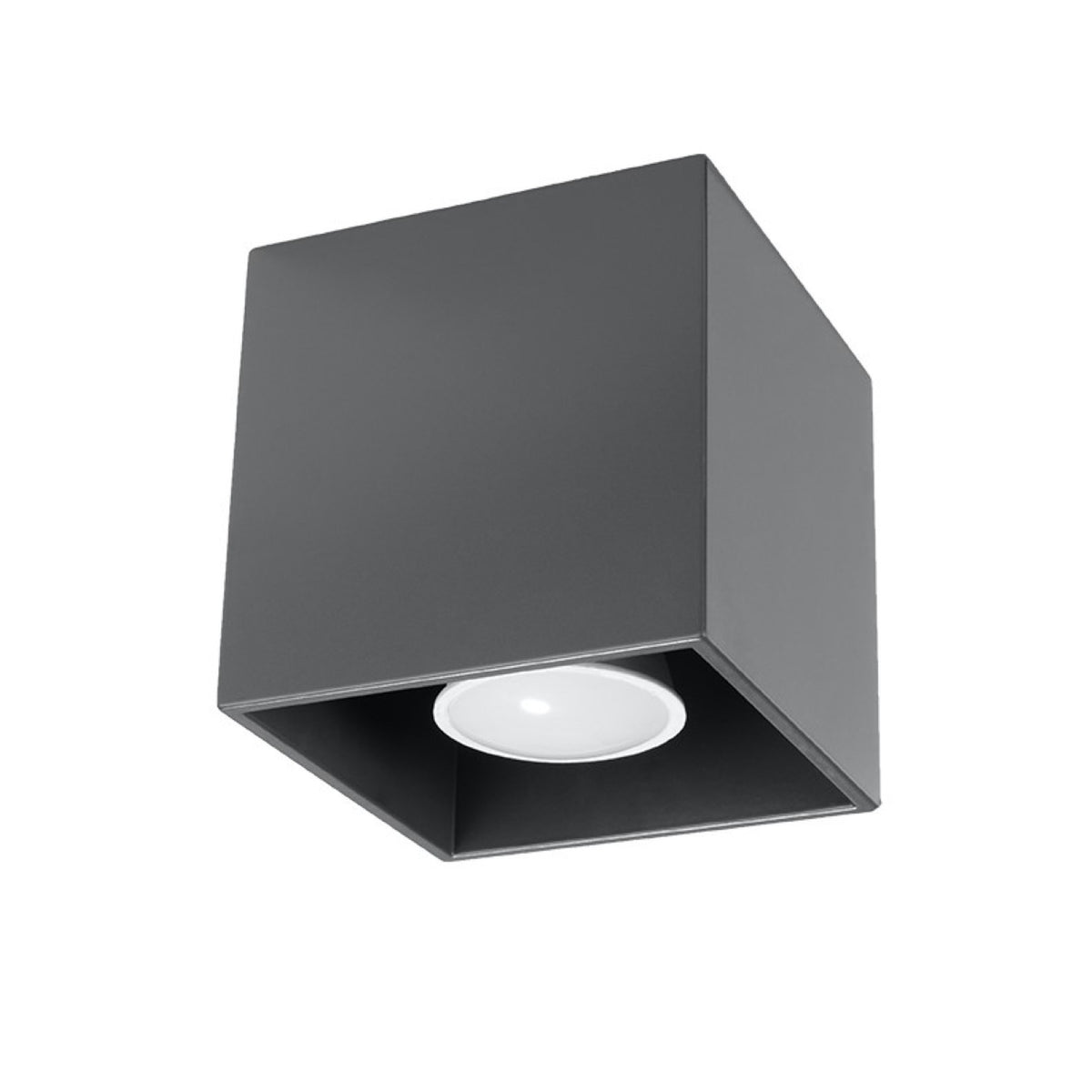 QUAD 1 plafondlamp antraciet