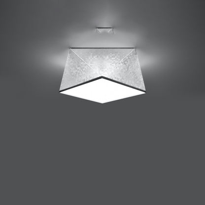 HEXA 25 zilver