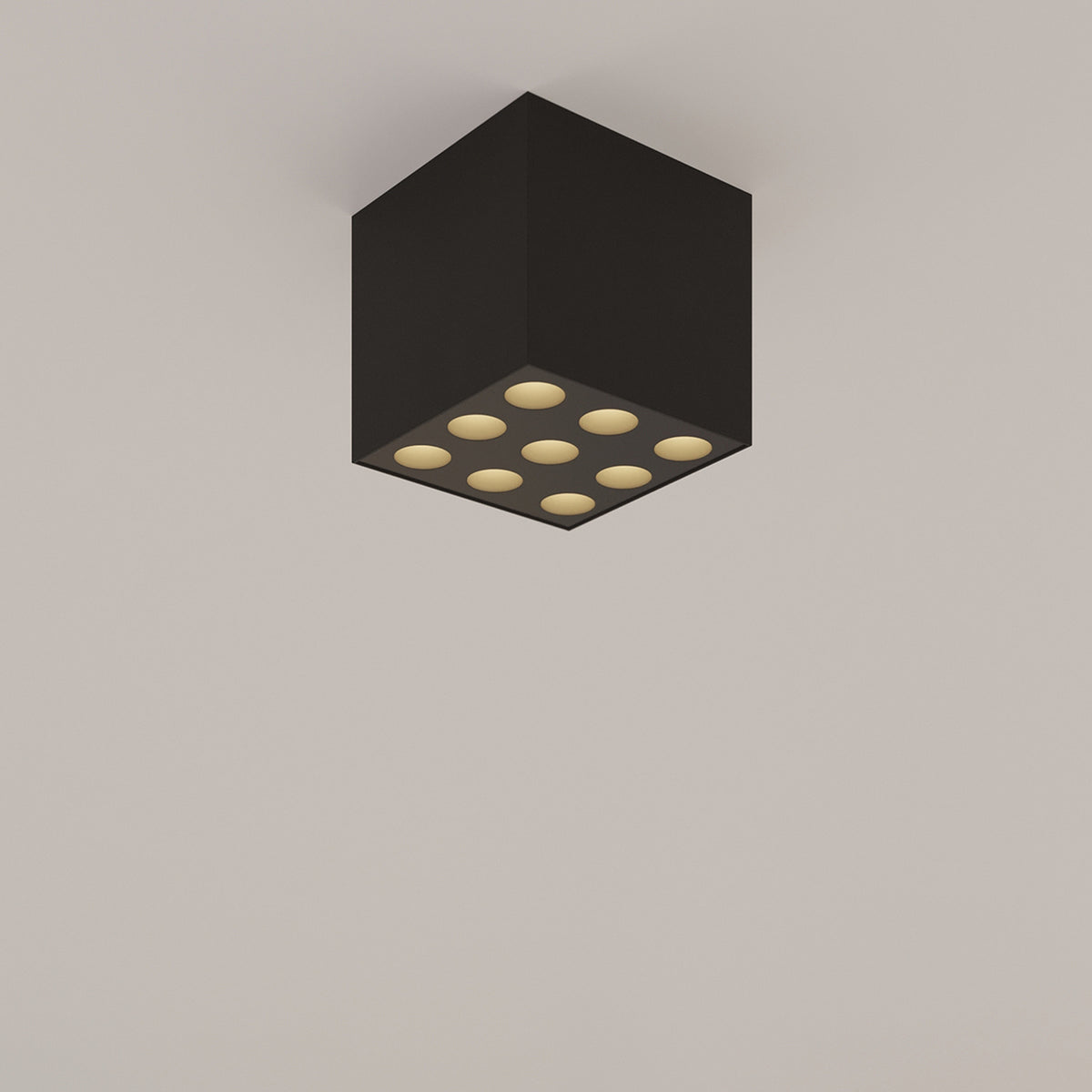 OZZY plafondlamp zwart