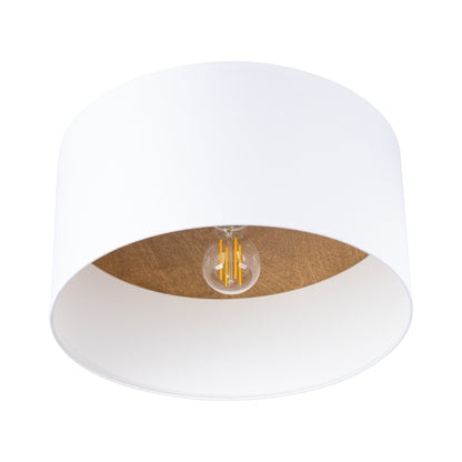 TELESTO plafondlamp
