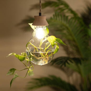 LISTAVO hanglamp in natuurlijk