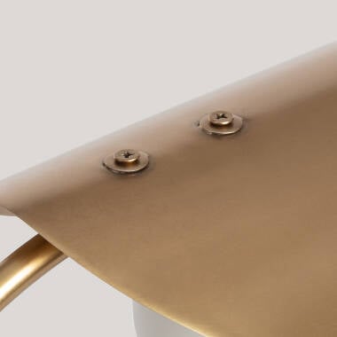 BRUNTARO Goud 6
