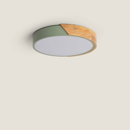 TEMBAVO LED plafondlamp in groen, afbeelding 1