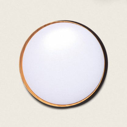 LARSAVO LED plafondlamp, afbeelding 4